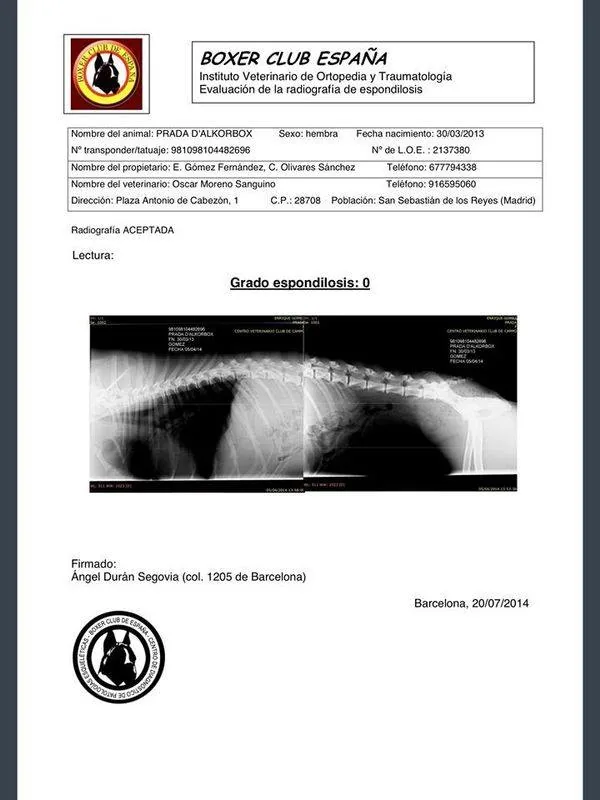 Documentos de CH. PRADA d´ALKORBOX — foto 1