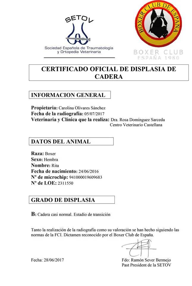 Documentos de CH. RITA d´ALKORBOX — foto 3