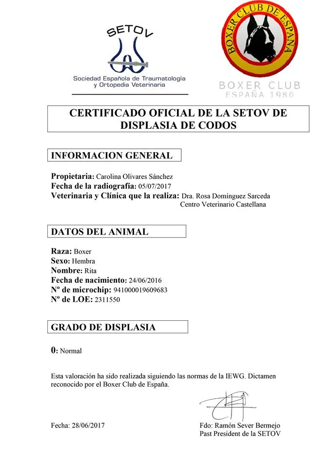 Documentos de CH. RITA d´ALKORBOX — foto 4