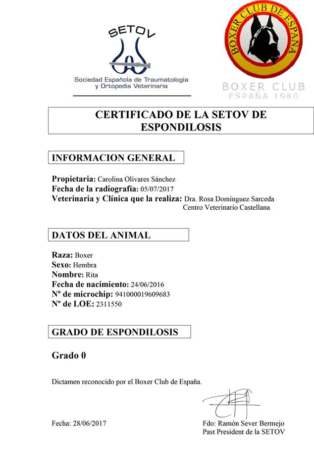 Documentos de CH. RITA d´ALKORBOX — foto 5