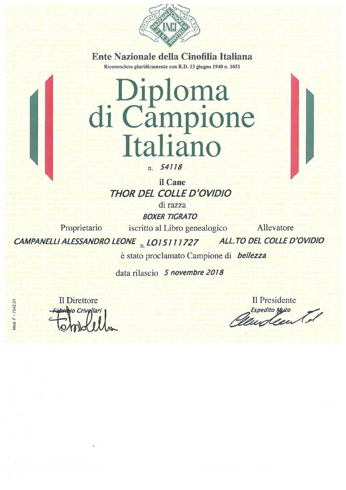 CH. THOR DEL COLLE D´OVIDIO — foto 2