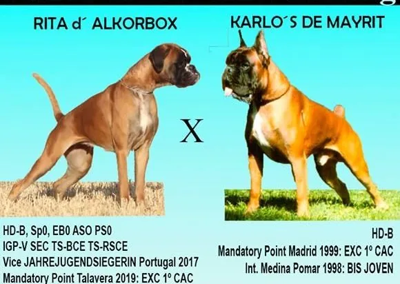 Próxima camada