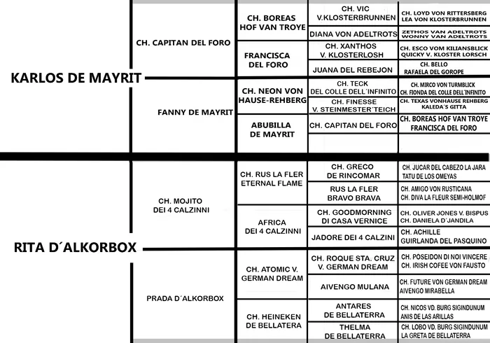 Documentos de CH. SANCHO d´ALKORBOX — foto 2
