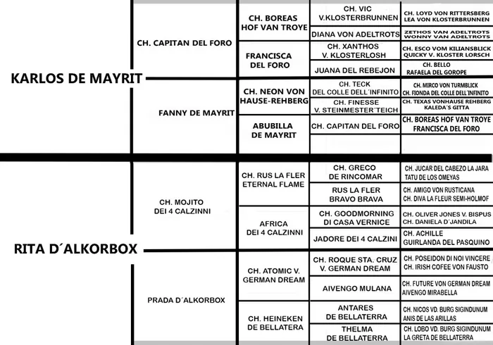 Documentos de CH. SANCHO d´ALKORBOX — foto 1